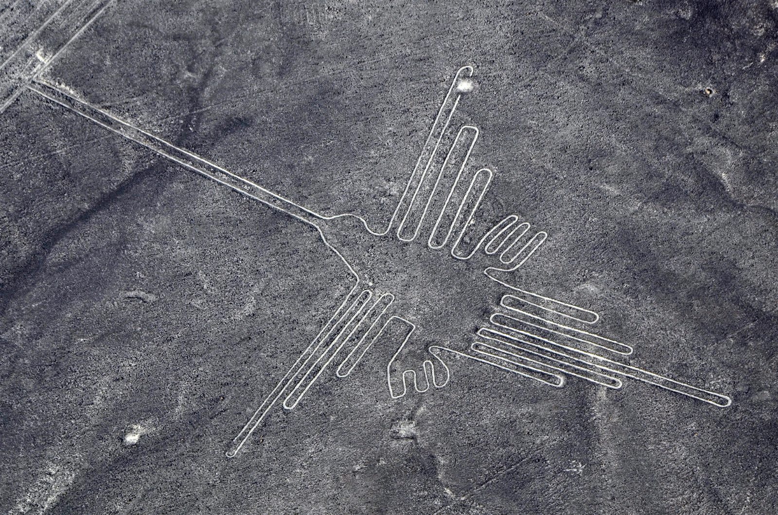 The Nazca Lines